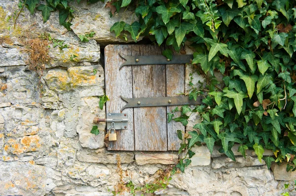 Маленькая дверь в стене — стоковое фото