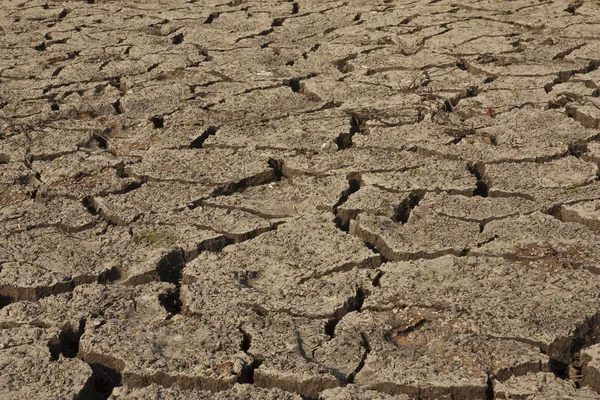 Ziemia jest sucha — Zdjęcie stockowe