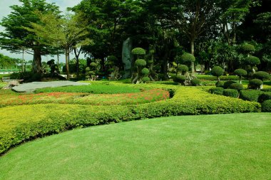 resmi Bahçe, yeşil çimen.