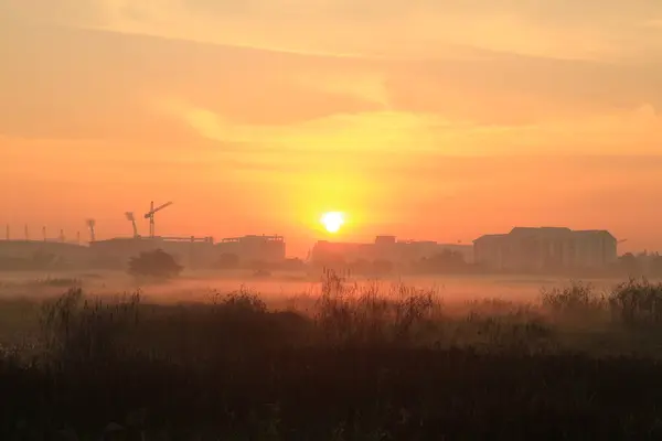 Champ de blé par un matin de printemps brumeux . — Photo