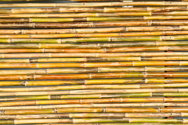 Bamboo texture — Stock Photo, Image