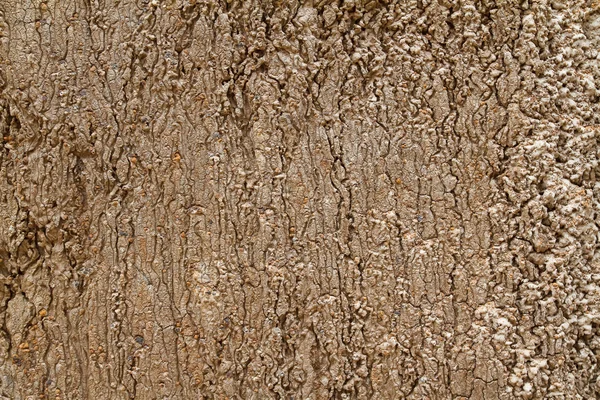 Tekstury gleby, Tajlandia — Zdjęcie stockowe