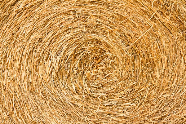 Straw texture background — Stock Photo, Image