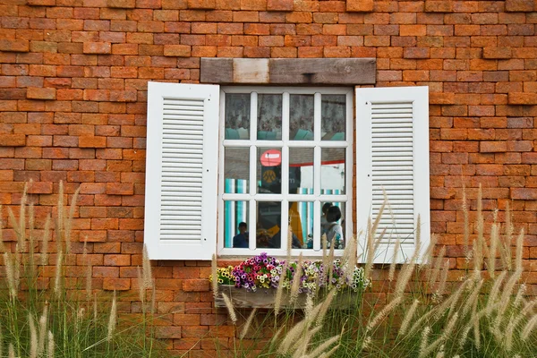 Окно с цветочными горшками. — стоковое фото