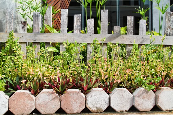 Holzzaun im Garten. — Stockfoto