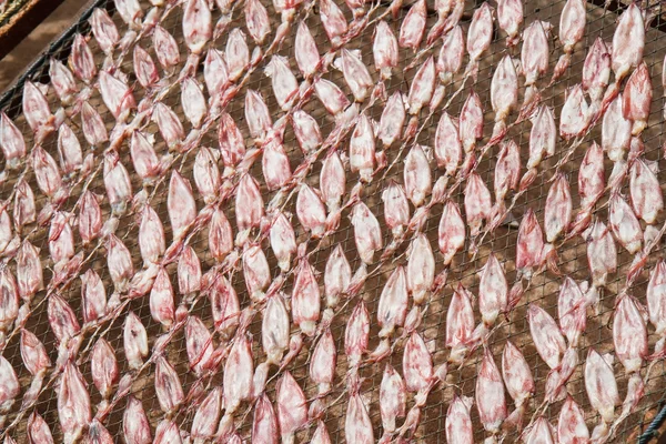 Dried squid at Thailand — Stock Photo, Image