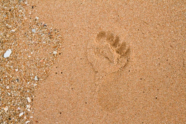 Empreintes de pas sur la plage. — Photo