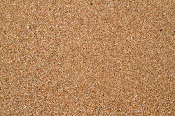 Sandy beach. — Stock Photo, Image