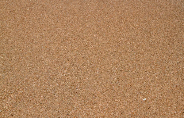 Песчаный пляж . — стоковое фото