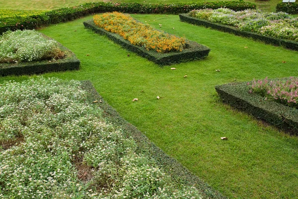 Blommig landskapsarkitektur. — Stockfoto