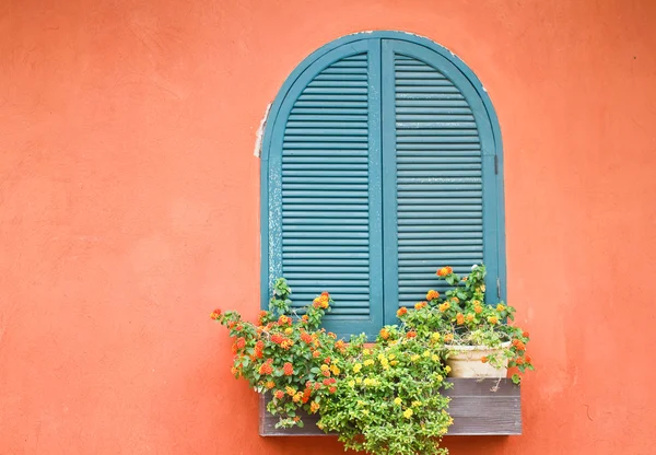 Ventana con flores. — Foto de Stock