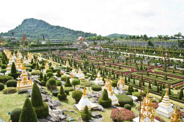 Pattaya, Tayland 'da Nong Nooch Tropikal Bahçesi