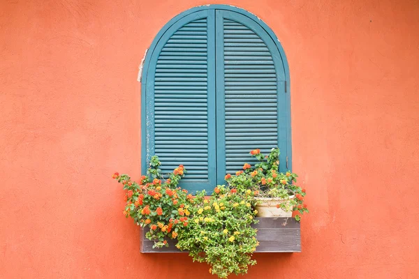 Fenster mit Blumen. — Stockfoto