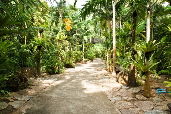 Camino de piedra hacia el jardín —  Fotos de Stock