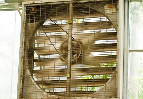 Вентилятор на стене Лицензионные Стоковые Изображения