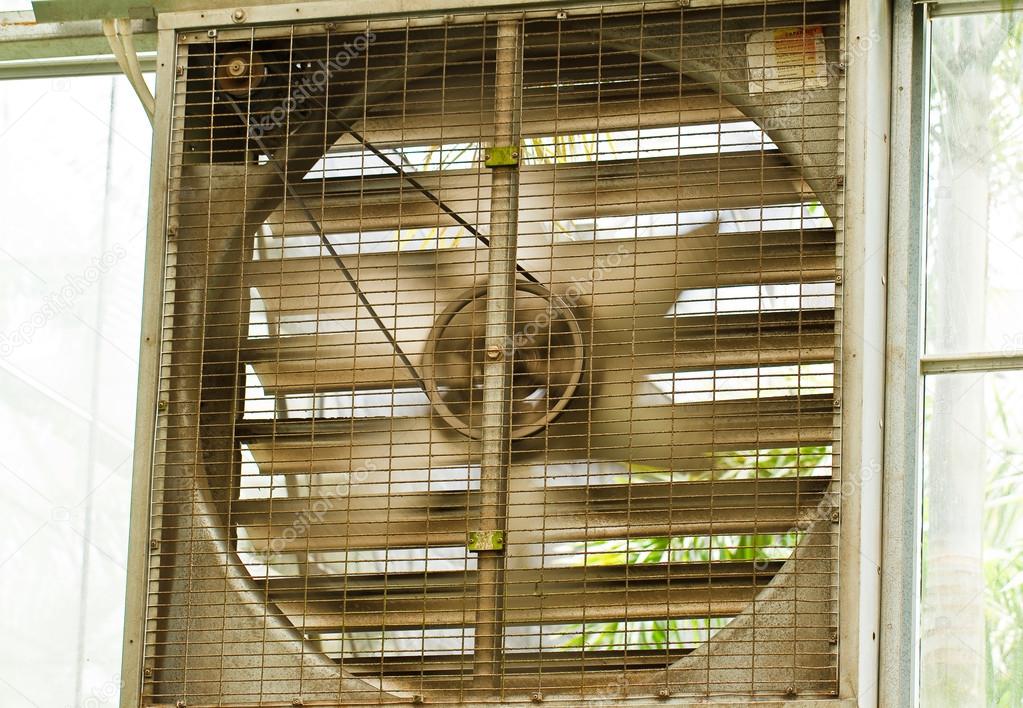 Fan on wall