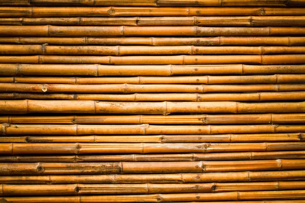 Bamboo texture — Stock Photo, Image