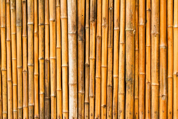 Textura de bambú — Foto de Stock