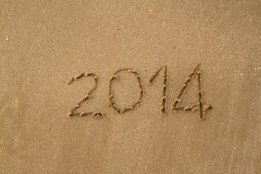 Yeni yıl 2014