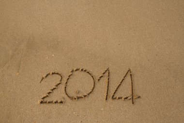 Yeni yıl 2014
