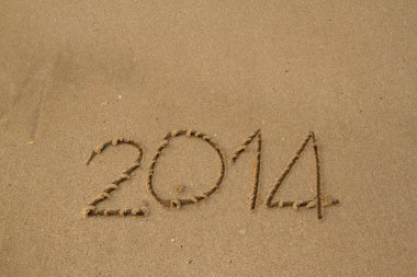 Yeni yıl 2014
