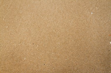 kum yüzeyi
