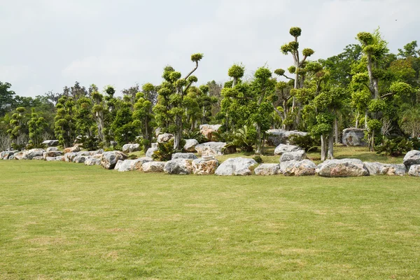 Japansk trädgård stil — Stockfoto