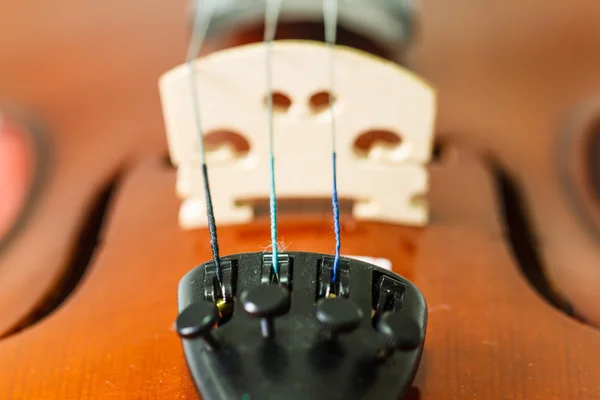 Έγχορδα βιολί — Φωτογραφία Αρχείου