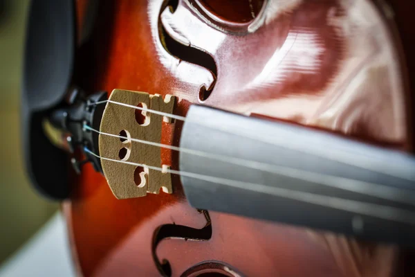 Έγχορδα βιολί — Φωτογραφία Αρχείου