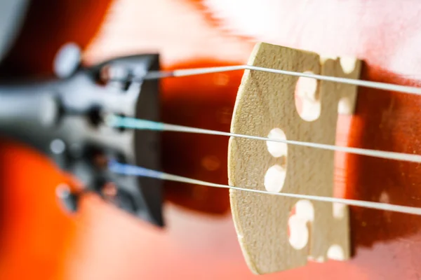 Cordas Violino — Fotografia de Stock