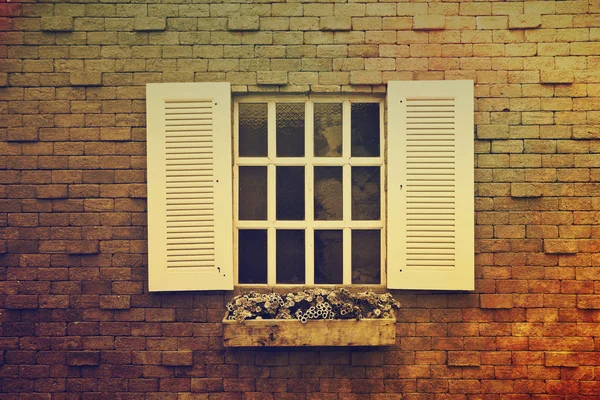 Çiçek saksıları olan pencere. — Stok fotoğraf