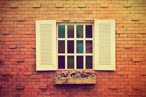 Fenster mit Blumentöpfen. — Stockfoto