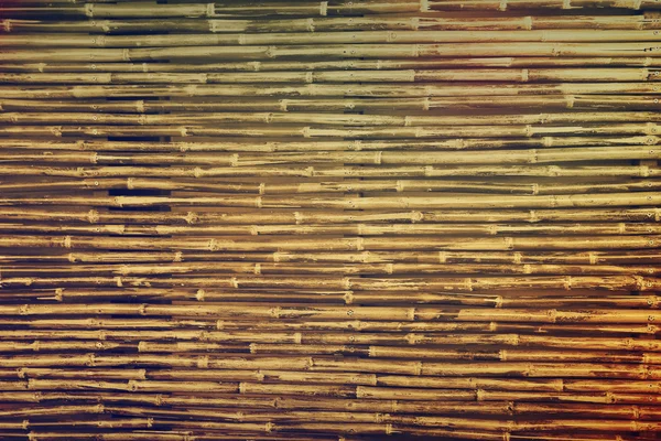 Bamboo texture — Stock Photo, Image