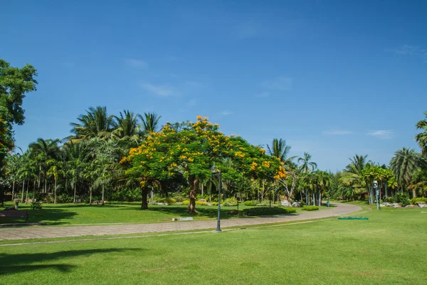 Garten — Stockfoto