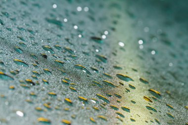 Su bardağa düşer.