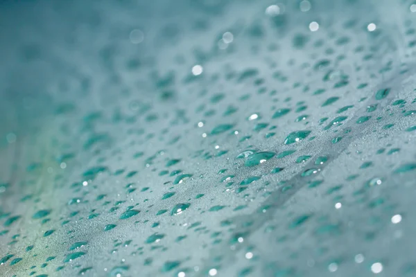 Water drops on glass — Stock Photo, Image