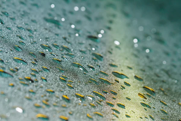 Su bardağa düşer.