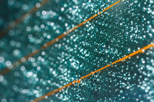 Water drops on glass — Stock Photo, Image