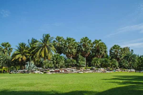 Garden — Stock Photo, Image