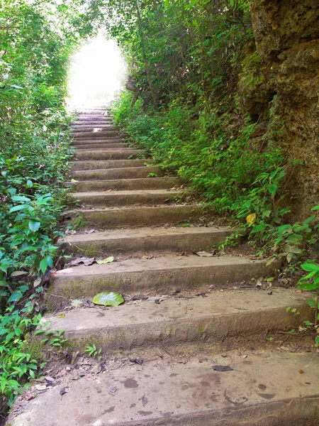 Escalera en bosque profundo — Foto de Stock