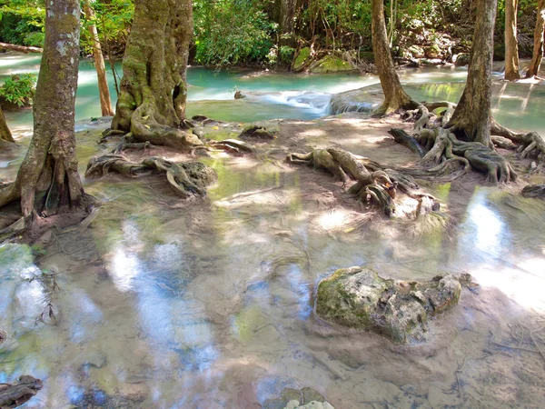 Deep forest waterfall — Stock Photo, Image