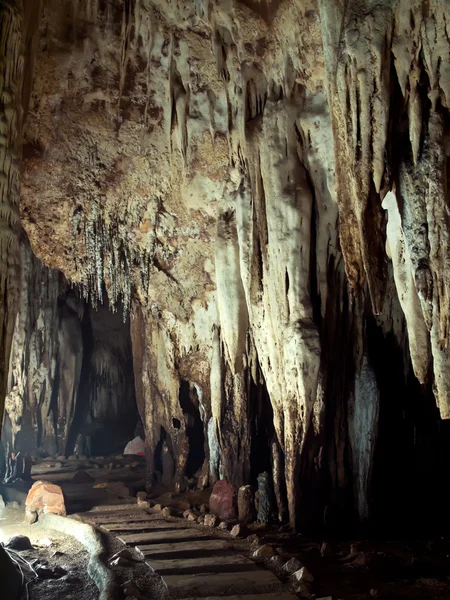 Tham khao bin mağarası — Stok fotoğraf