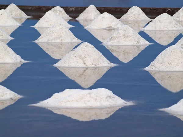 Heap of sea salt — Stock Photo, Image