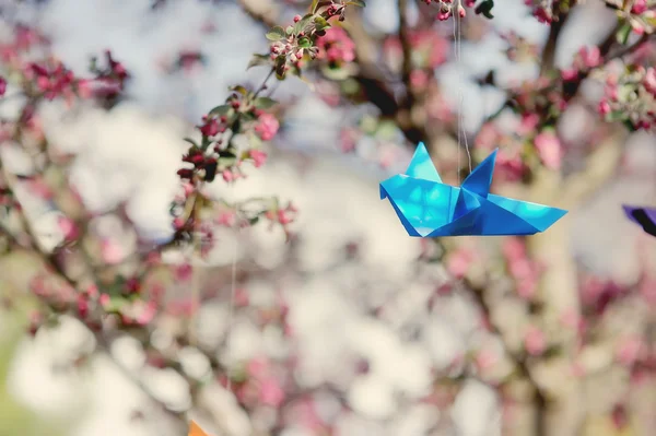 Árvores florescentes — Fotografia de Stock