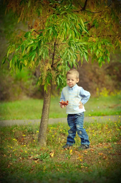 El chico en el bosque — Foto de Stock
