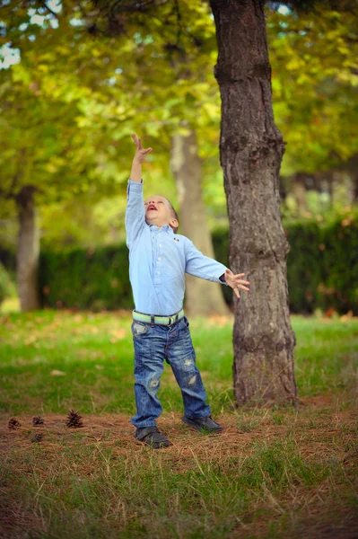 The boy in the wood — Stock Photo, Image