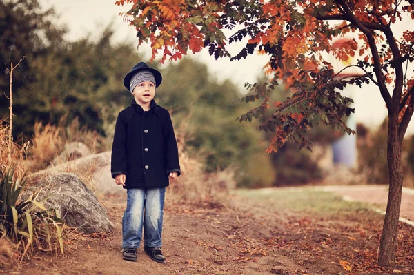 Høstportrett av gutten – stockfoto