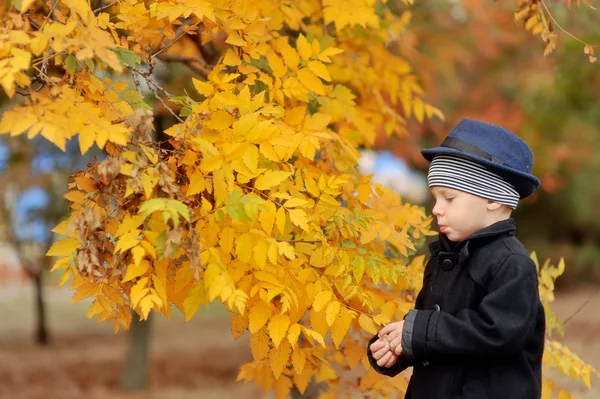 Podzimní portrét chlapce — Stock fotografie