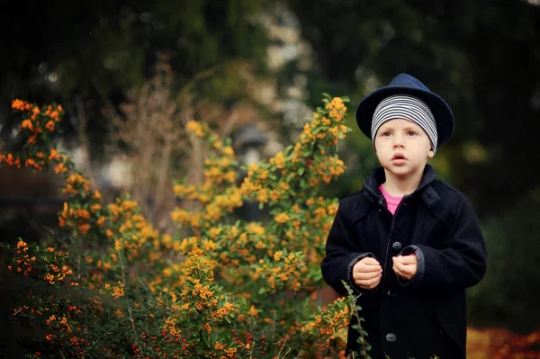 Autumn portrait of the boy — Stock Photo, Image