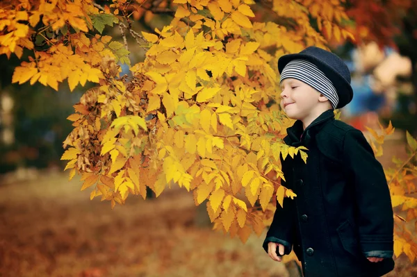 Herfst portret van de jongen — Stockfoto